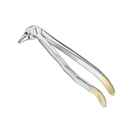 Extracting forceps, anat.